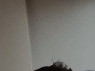 baby david 03