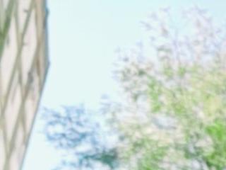 fidoweed