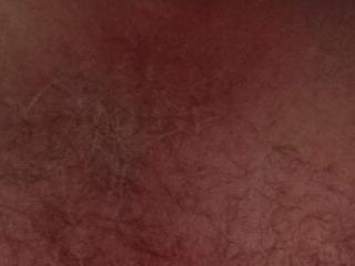locoturco72