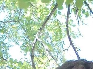 luke thighwalker2469