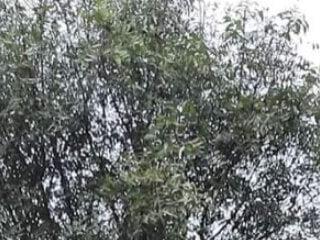 rahulkajuuu0909