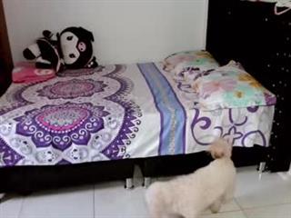 corina
