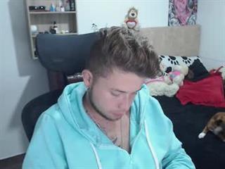 JOHAN independent model