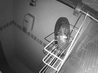 voyeurcam jb shower 14