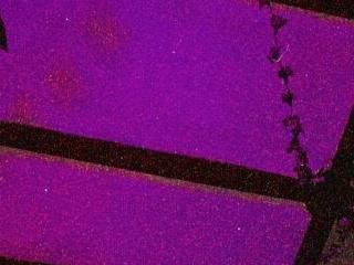  realwav