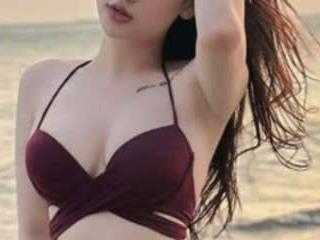  sy sy99