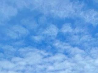 Airis Windy