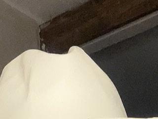 AlanaRouss