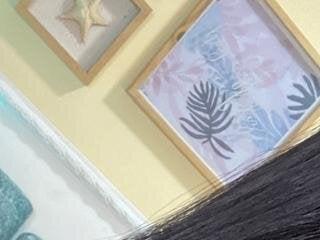 AlisxxnFx