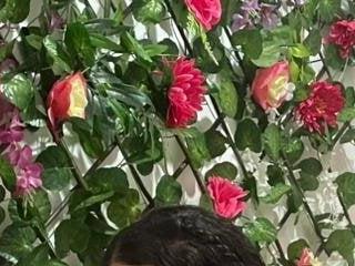 amandalee01