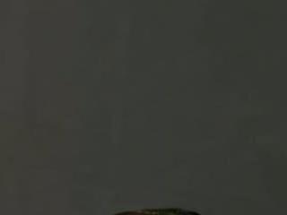 ambargil 