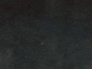AmiraChase