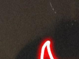 amiralily9