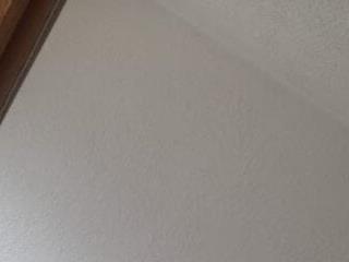 antonelaXantonysex