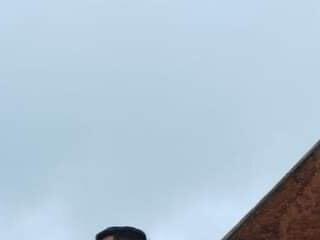 Apolo falcon