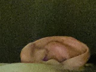 asiancum 69