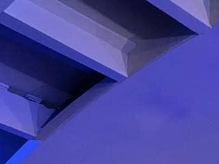 AuroraPups