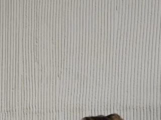 BabySPieS