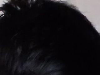 Bdplayboy2