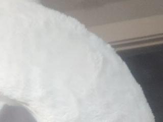 Bigloafy1