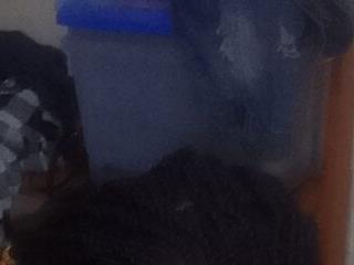 Black berri