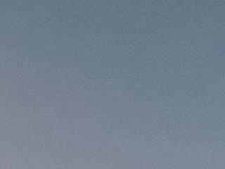 blacko588