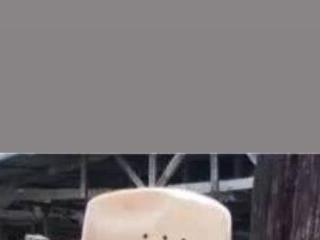 bolumba