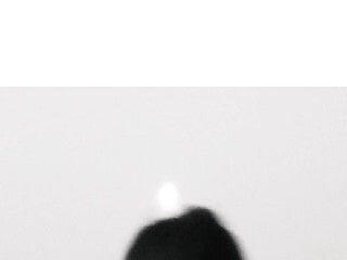 BonnyShy