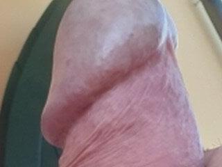 buodiculo