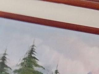cazaperdidas