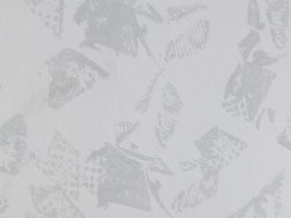 cazzoweb