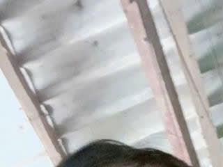 Chao tay