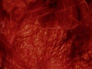 Crimson-Voluptas