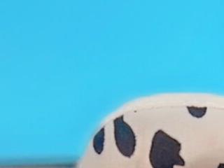 CUMQUEEN-XXX69
