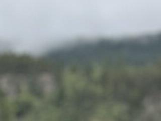 dawja