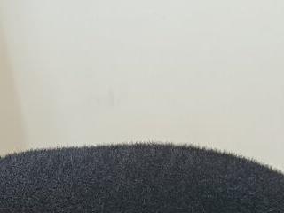 desisanaye 69