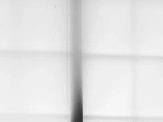 Donna Evans