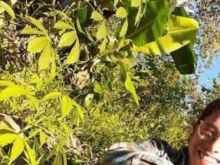 FarmerBoy 