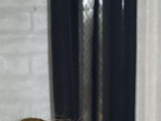 fucking georgina