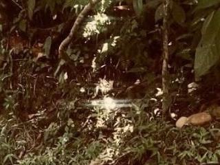 Gisell Squirt 