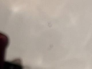 GoddessFatPuss