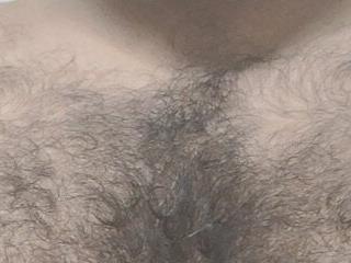 hairysub india@xh