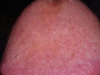hOrnybOy 369