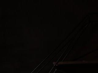 IrisPurrphy