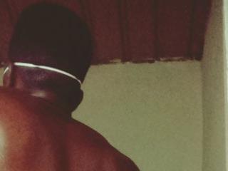 jamilx