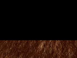 jerryyl15