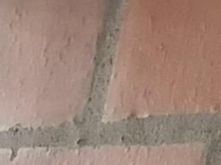 Jhrghjj56