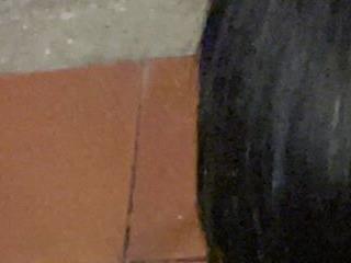 kevinfox23cm