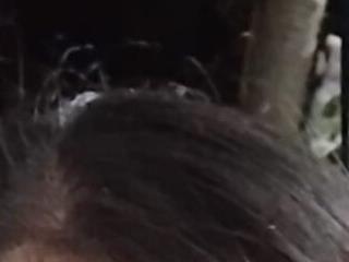 kitybigboobsx