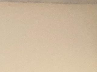 LaceyMayxox
